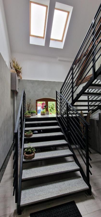 Zielona Ostoja Ulica Szpitalna 3C Apartamento Kamieniec Ząbkowicki Exterior foto